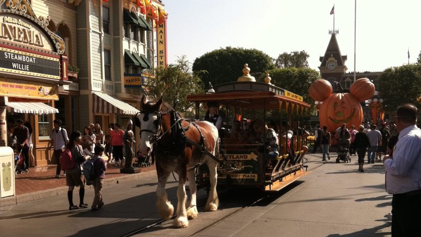 The horse-drawn streetcars on Main Street, USA at Disneyland are due to Walt's vision and attention to detail